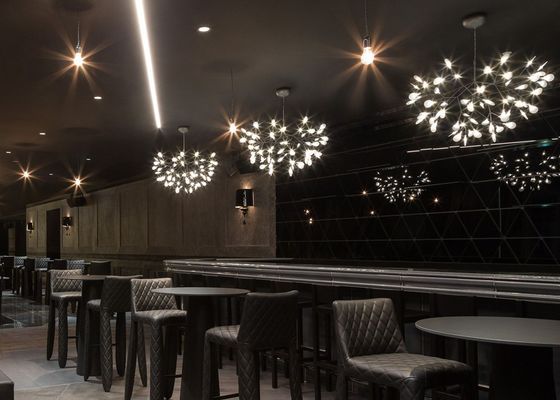 Modern Restaurant  Pendant Lamp Bedroom Lighting Suspension Tree Branch Led Hanging Lamp Firefly Chandelier