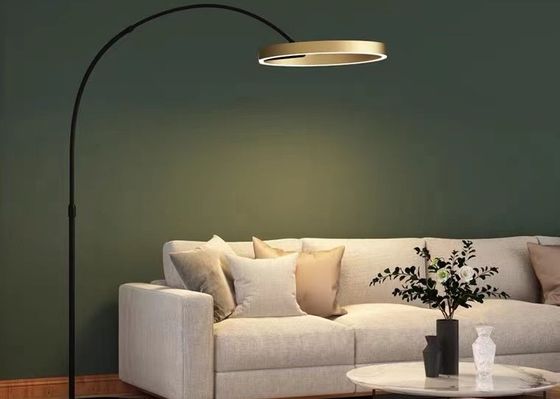 Nordic Fishing Circle Bedside Sofa Modern Gold led Bedroom Floor Lamp