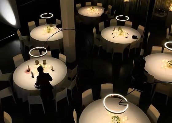 Nordic Fishing Circle Bedside Sofa Modern Gold led Bedroom Floor Lamp