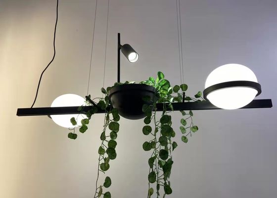 Blown Glass Chandelier Dinning Room Chandeliers Pendant Lights Kitchen Hanging Light