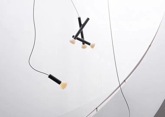 Fashion Contemporary Decorative Pendant Light Designer Chandelier Light Fixtures Pendant Ceiling